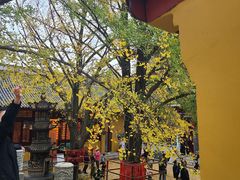 -南山风景名胜区