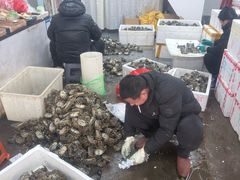 -王四营海鲜市场