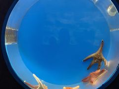 -西安曲江海洋极地公园