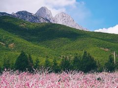 -玉湖村