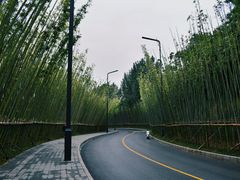 -中国唐苑