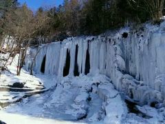 android_upload_pic-望天鹅景区