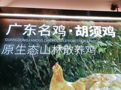-野·大山里野生菌石锅土鸡(益田假日店)