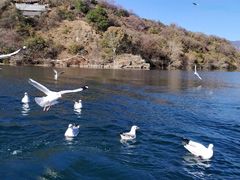 -丽江泸沽湖景区