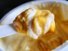 乐纯咸蛋黄口味三三三倍酸奶-乐纯(苹果社区店)