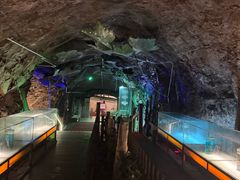 -青岛葡萄酒博物馆