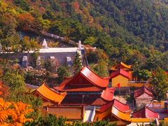 -龙口南山旅游景区