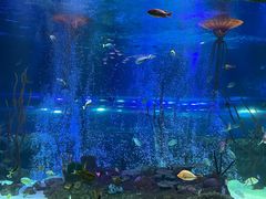 -沈阳海洋探索中心