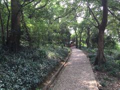 圣马可假日公寓-平湖九龙山庄园圣马可酒店