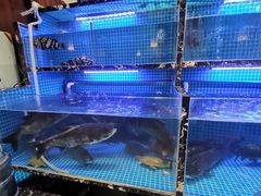-姜君·千岛湖鱼头馆(浦东大道店)