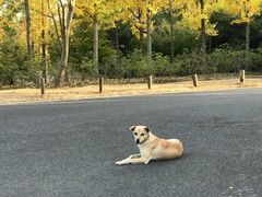-宝界山林公园