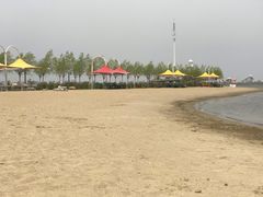 -呼兰河口湿地公园