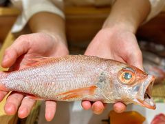 -镹·鱼料理  国产鱼使用店