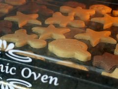 -幸福里DIY蛋糕烘焙·团建·拼豆豆(普陀店)