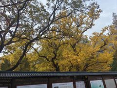 -青岛崂山太清宫