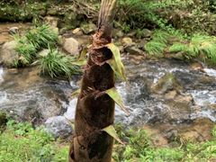 -梅岭神龙潭