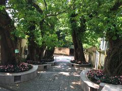 -龙环葡韵住宅式博物馆