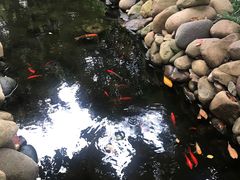 -马勒别墅·中餐厅