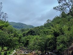 -广州白江湖森林公园