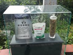 -广州神农草堂中医药博物馆