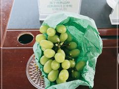 -马陆小张葡萄园农家乐