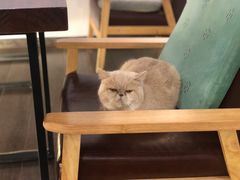 -Double cafe