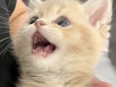 -夜小腰烧烤(中华路店)