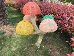 -苏州乐园森林水世界