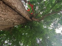 -金堂县云顶石城风景区