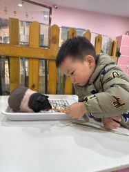 -Moni星球萌宠·小马宝莉·灵蛇·高端高阶全萌宠互动体验俱乐部(红豆国际广场店)