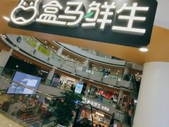 -盒马鲜生(解百新元华店)