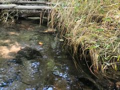 -白水寺森林公园