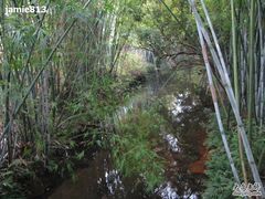 -林丰温泉度假山庄
