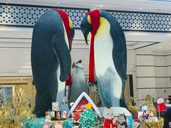 -帝企鹅自助餐厅•儿童岛•真企鹅(长隆企鹅酒店)