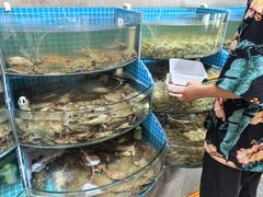 -蓝珊甄选海鲜自助·火锅大排档(近阿那亚店)