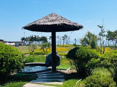 -青岛海泉湾度假区温泉