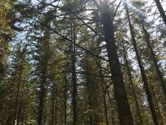 -硗碛藏寨·神木垒景区