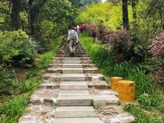 -缥缈峰景区