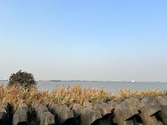 -上海滨江森林公园