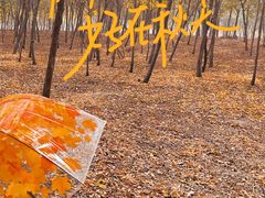 -西青郊野公园