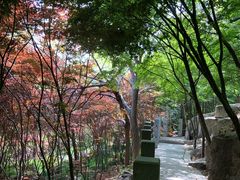 -崂山巨峰游览区