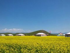 -青海湖国家重点风景名胜区