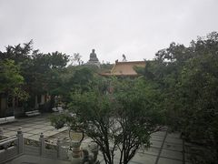 -天坛大佛