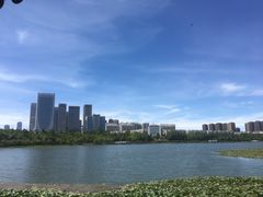 -洛龙公园
