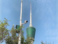 -梧桐山风景名胜区