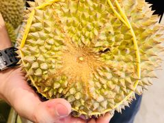 -都念榴莲·城市榴莲