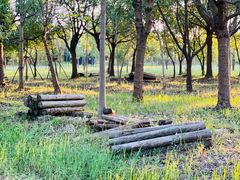 -上海浦江郊野公园-5号停车场