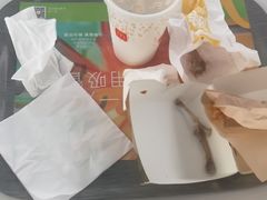 -麦当劳(鄂尔多斯机场店)