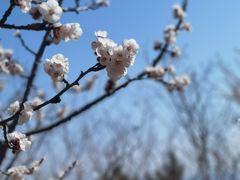 -香山公园
