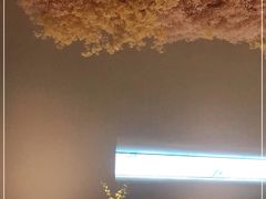 -湘上湘(米其林餐厅-正大中心总店)